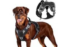 rabbitgoo Dog Harness No Pull, Military for Large Dogs with Handle & Molle, Easy Control Service Vest Training Walking, Adjus