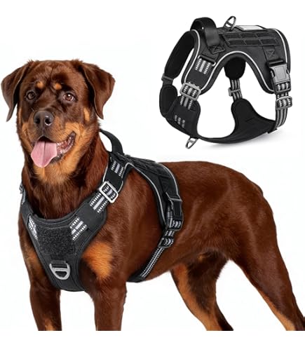 Harnais gilet pour chien d'assistance - Certificats pour chiens d
