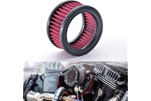 NATGIC Motorcycle Air Cleaner Intake Moto Air Filter Replacement System Kit for Har ley Sport ster XL883 XL1200 X48 2004-2018,Red-Purple (Pack of 1)
