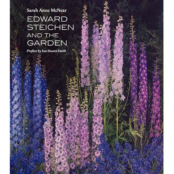 Amazon.com: Joel Meyerowitz: Wild Flowers: 9788862087308
