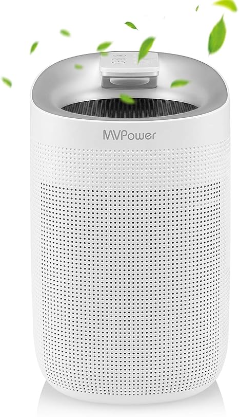 Mvpower 2in1 Luftreiniger Luftentfeuchter 750ml 24h 1000ml Entfeuchter Gegen Feuchtigkeit Schmutz Und Schimmel Fur Bis 20m Zimmer Mit Hepa Filter Gegen Staub Rauch Geruche Leiser Betrieb Amazon De Baumarkt