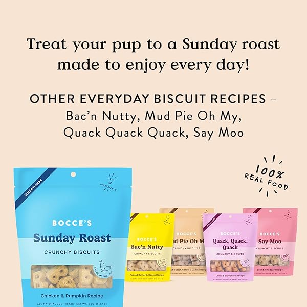 BOCCE’S BAKERY OVEN BAKED SUNDAY ROAST TREATS FOR DOGS, EVERYDAY WHEAT-FREE DOG TREATS, MADE WITH REAL INGREDIENTS, BAKED IN THE USA, ALL-NATURAL CHICKEN & PUMPKIN BISCUITS, 5 OZ