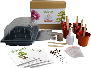 Bonsai - Mrs Henris Plant Growing Kit. Cultive 5 Bonsáis ...