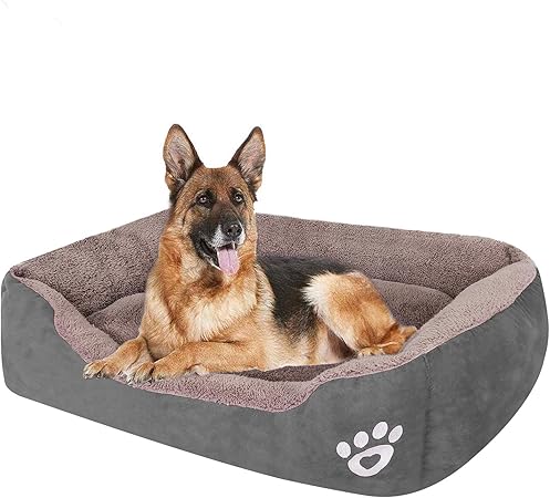 washable puppy bed