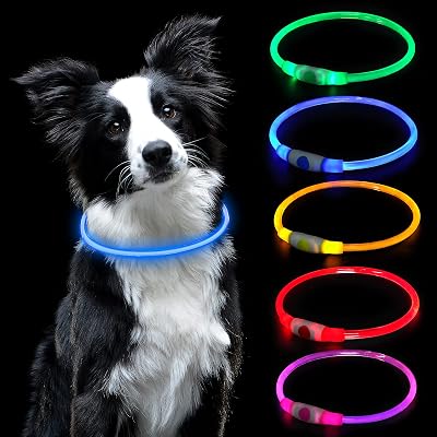 AUAUY LED Light Up Dog Collar Blue USB Rechargeable 70cm Reflective