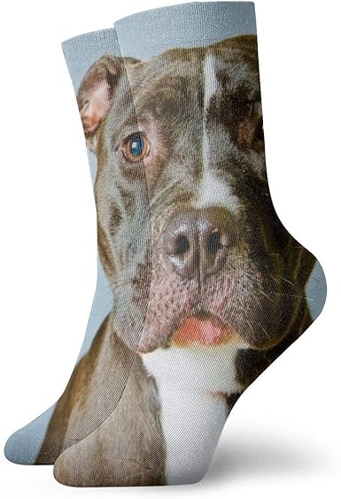 Amazon Com Anjing Pitbull Funny Crew Socks Sports Non Slip Boat