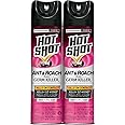 Hot Shot Ant & Roach Plus Germ Killer, Fresh Floral Scent Aerosol, 2/17.5-Ounce