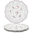 fanquare 10 Inch Porcelain Dinner Plates Set of 4, Lace Dishes Set for Salad, Pasta, Soup, Dessert, Pink Roses