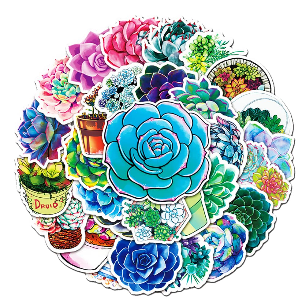 Vibrant Succulent Plant Vinyl Stickers, 50 PCS Colorful Succulent & Echeveria Decals for Journals, Scrapbooking, Laptops, Water Bottles, Planners, Notebooks & DIY Decor — image 1