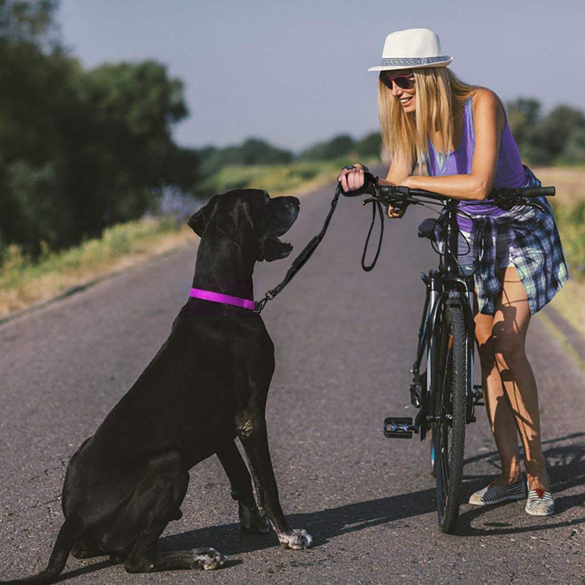 Loki Loki Bungee Dog Leash with Car Seat Buckle, Improved Comfort and Safety Bungee Dog Leash - 2 Soft Padded Handles, Reflective Threads, Max. 6FT Durable Leash