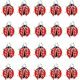 30PCS Ladybug Enamel Charms, Red Ladybird Shape Alloy Enamel Pendants Findings, Insect Beetle Alloy Charms Bulk, Animals Dangle Charms for Women Necklace Bracelet Earrings Jewelry Making DIY Crafts