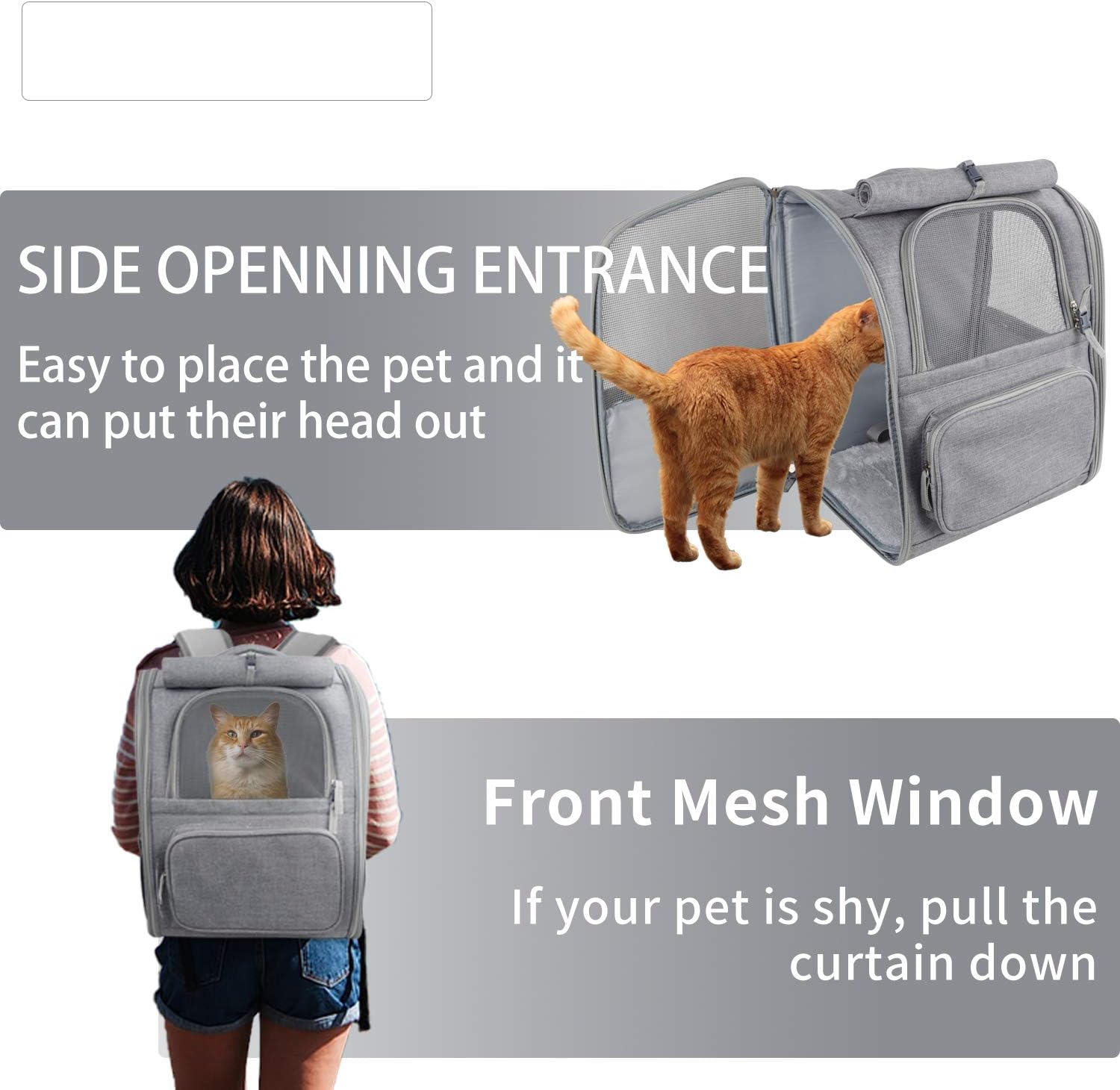 backpacks for your cat