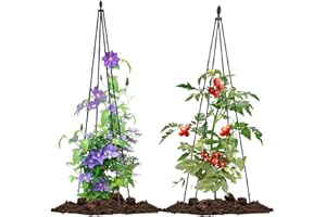 Lalahoni 2 Pack Garden Trellis for Climbing Plants Outdoor Indoor, 67inch Tall Obelisk Rose Trellis Climbing Plants Support Vine Vegetable Pea Bean Cucumber Trellis for Garden Raised Bed, Lightweight