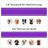 Joytale Padded Handle Dog Lead Double-Sided Reflective Nylon Purple 1.2m view 6