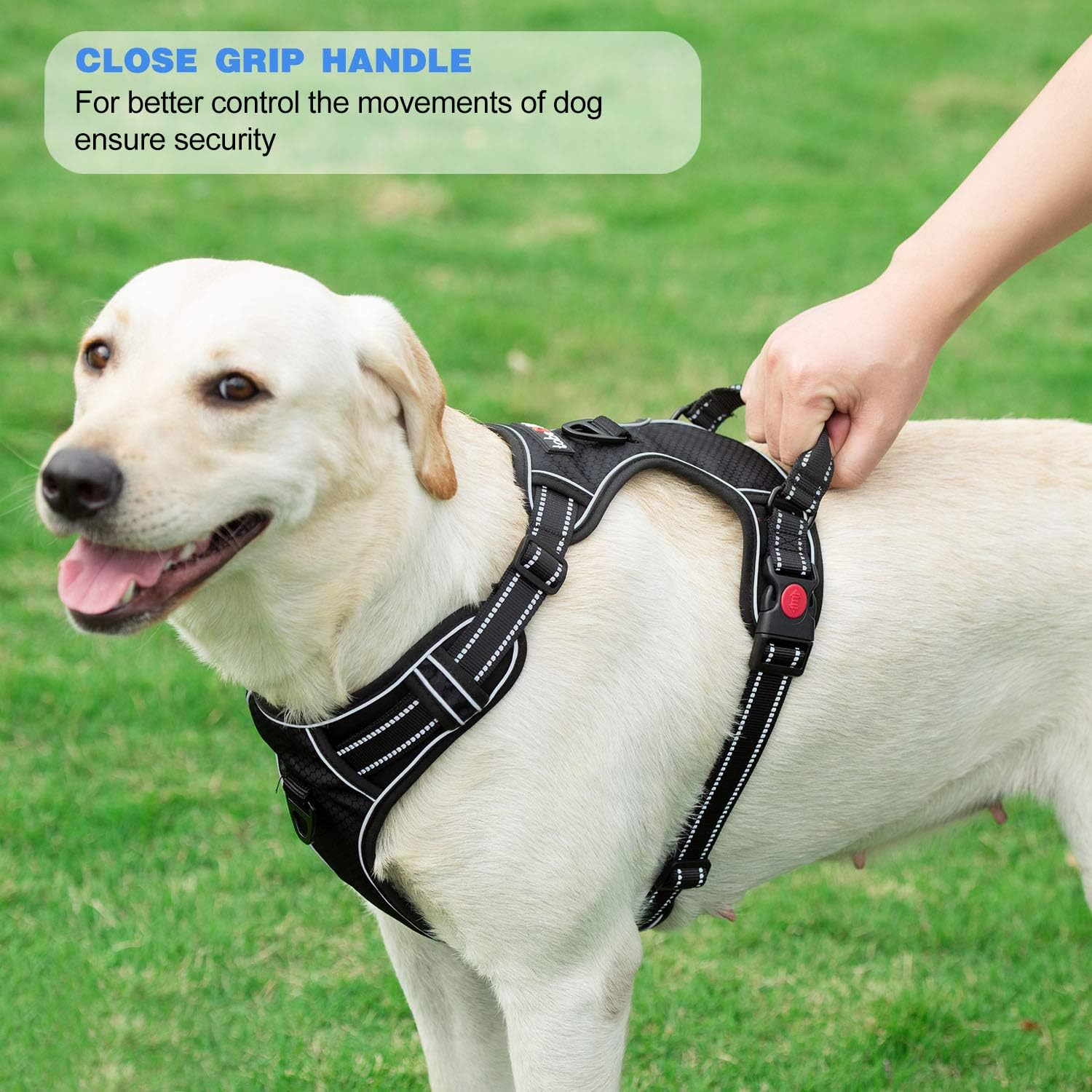 tobeDRI No Pull Dog Harness Adjustable Reflective Oxford Easy Control Medium Large Dog Harness with A Free Heavy Duty 5ft Dog Leash (S (Neck: 13"-18", Chest: 17.5"-22"), Blue Harness+Leash) : Kitchen & Dining