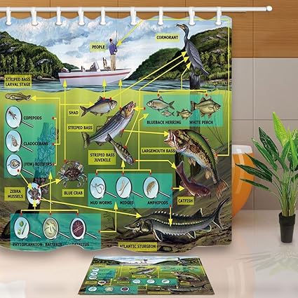 Amazon Com Hisoho Water Zoology Shower Curtain Aquatic Life Food