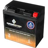 Chrome Battery YB16CL-B Battery - Rechargeable, High Performance Power Sports, Factory Sealed, Durable, 240 CCA, Black