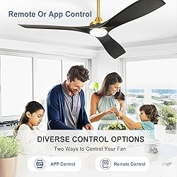 BvenuBigLite Modern Ceiling Fan with Light: Black