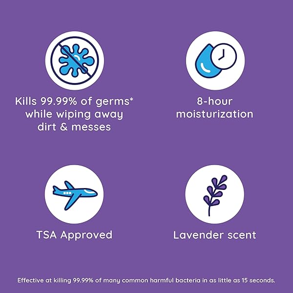 WET ONES ANTIBACTERIAL HAND WIPES, LAVENDER SCENT WIPES | TRAVEL WIPES CASE, ANTIBACTERIAL WIPES | 20 CT. TRAVEL SIZE WIPES (PACK OF 1)