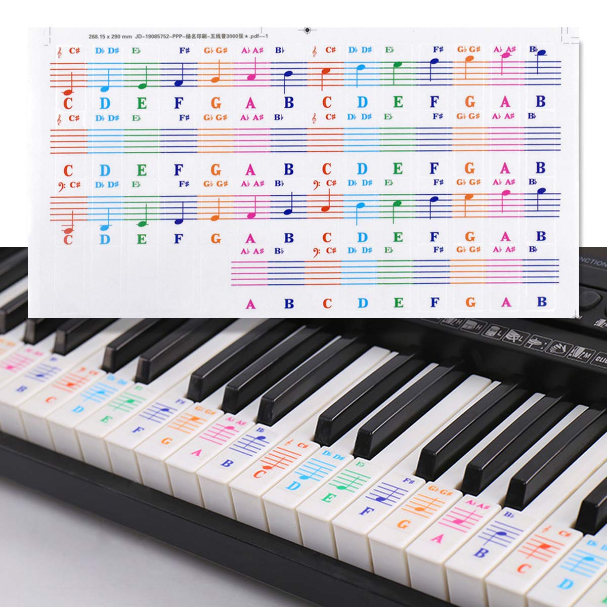 Colourful Music Piano Keyboard Notes Stickers, Removable Piano Key Stickers for All White Keys(25/49/61/76/88 Key Keyboards), Keyboard Accessories for Kids Beginners Piano Practice Learning