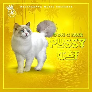 Don 2 Nwa Pussy Cat Amazon Com Music