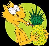 YEOWWW Pineapple Catnip Toy for Cats Yellow 7" All Breed Sizes view 5