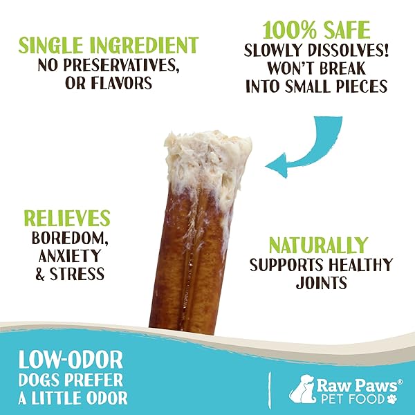 RAW PAWS STANDARD BULLY STICKS FOR SMALL DOGS, 6″ (10 PACK) – LOW ODOR JUNIOR BULLY CHEWS – FREE-RANGE PIZZLE STICKS FOR DOGS – SINGLE INGREDIENT DOG CHEWS – RAWHIDE ALTERNATIVE – LONG LASTING