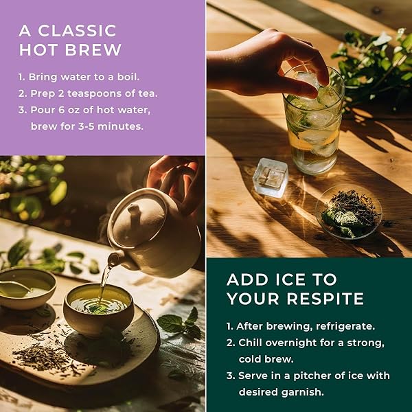 GYA TEA CO FOREST MINT GREEN TEA LOOSE LEAF – MINT GREEN TEA CAFFEINATED – 100% NATURAL MINT LOOSE LEAF TEA WITH NO ARTIFICIAL INGREDIENTS – BREW AS HOT OR ICED TEA (5.29 OZ)