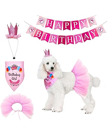 chihuahua outfits amazon