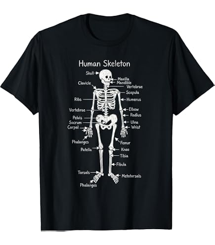 Amazon.com: Human Anatomy Labeled Diagram T-Shirt : Clothing