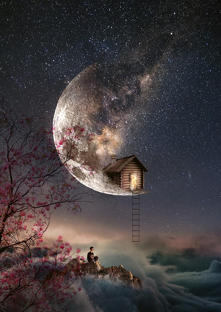 The Snow Sister: 'The Queen of Historical Fiction at her finest.' Guardian: 1