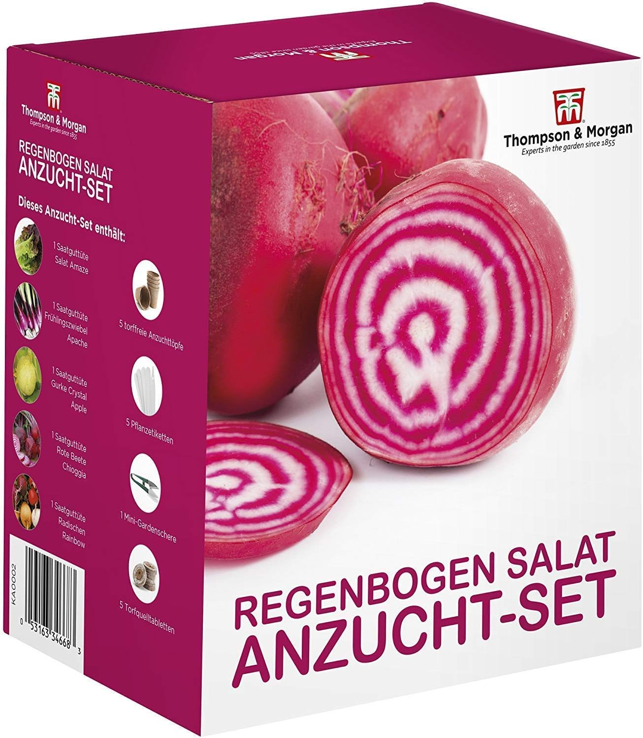 Rainbow Salad Seed Growing Kit Grow Your Own Five Colourful Varieties of Salad to Grow; Lettuce, Spring Onion, Radish - Image 3