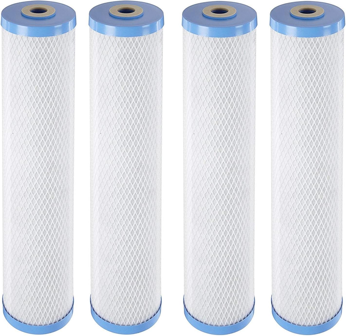 Pentek EPM20BB Carbon Block Filter Cartridge, 20" x 45/8