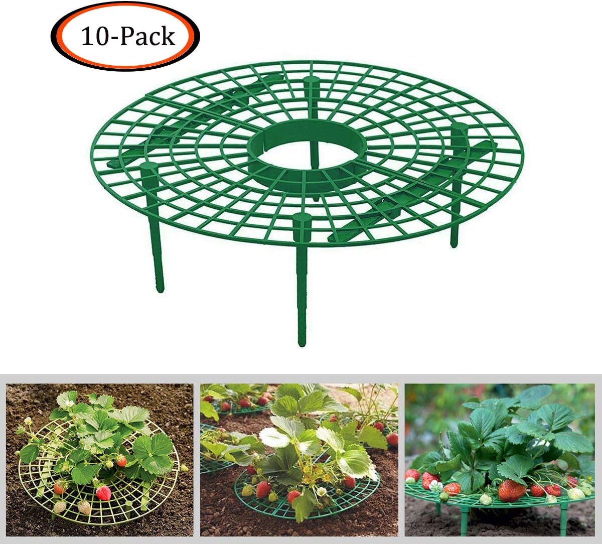 Top 7 Strawberry Garden Supports Simple Home