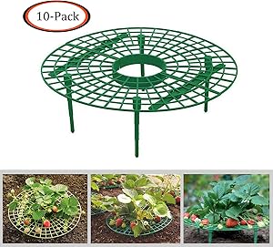 Growsun Strawberry Supports Keeping Fruit Elevated to Avoid Ground Rot,10 Pack