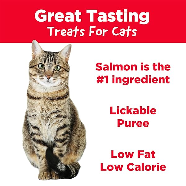COUNTRY KITCHEN SALMON PUREE LICKABLE CAT TREATS, MADE WITH REAL SALMON, 2 OZ, 4 COUNT