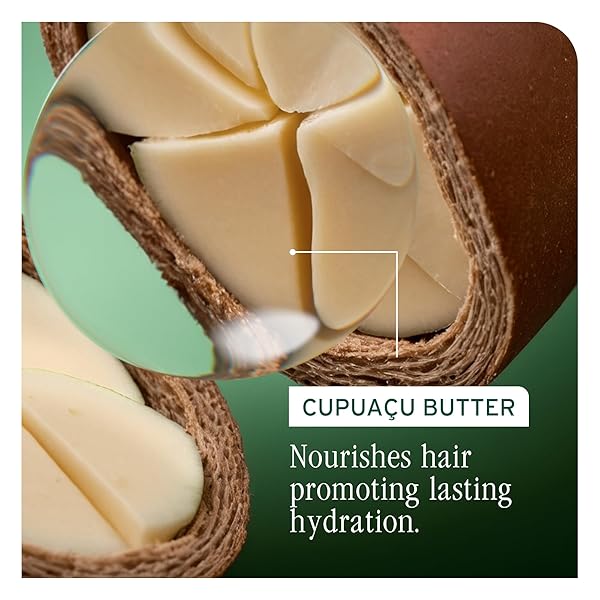 BIOLAGE ULTRA HYDRA SOURCE SHAMPOO – DEEPLY MOISTURIZES AND HYDRATES VERY DRY HAIR, CLEANSES AND TAMES FRIZZ, FOR THICK, COARSE HAIR, INFUSED WITH CUPUAÇU BUTTER & SALICYLIC ACID, 13.5 FL OZ