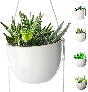 4 Tier Plant Hanging Holder White Ceramic Planters for Wall Ceiling Herb Garden