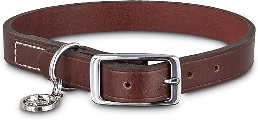 bond & co dog collars
