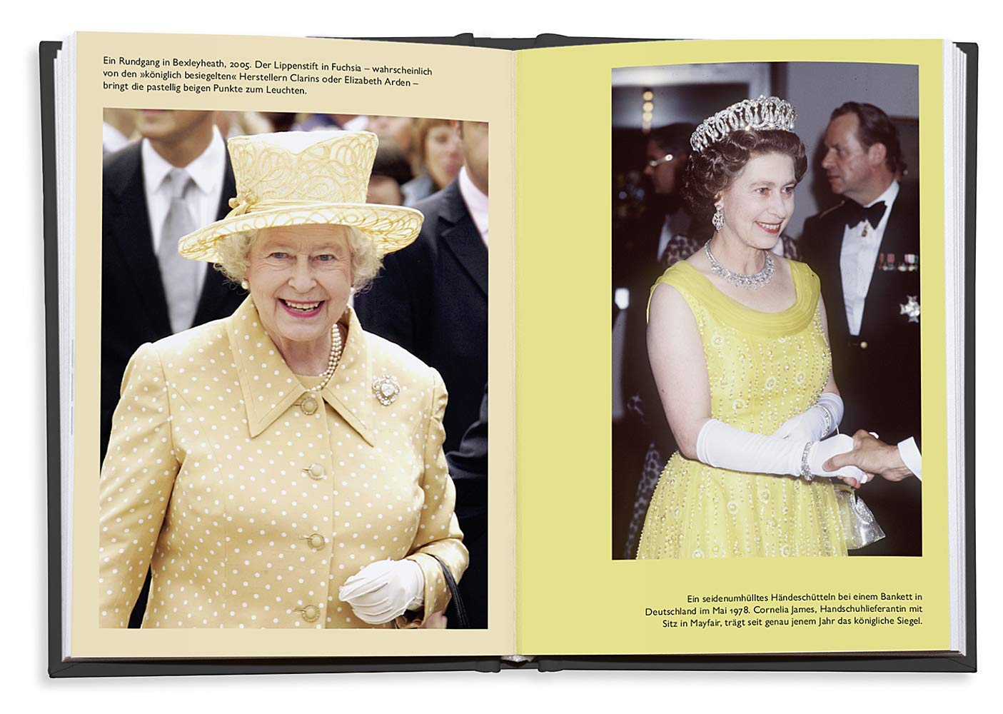 Die Farben Der Queen Amazon De Hughes Sali Bucher