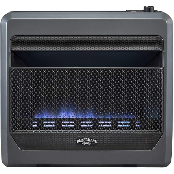 Amazon.com: Heatstar By Enerco F170850 Radiant Natural Gas Heater HS125NG  Salamander, 125K : Home u0026 Kitchen