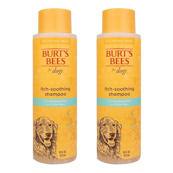 BURT’S BEES FOR PETS ITCH SOOTHING SHAMPOO WITH HONEYSUCKLE, 2PK, 95% NATURAL ORIGIN FORMULAS, DOG SHAMPOO FOR ITCHY DOGS, DOG SHAMPOO ITCHY SKIN RELIEF, 2PK, 16 OZ