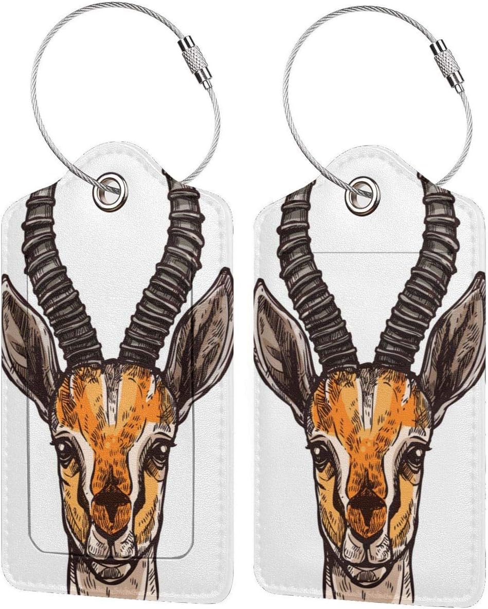 Amazon.com: YTUTRfb African Antelopes Leather Luggage Tags - Travel ID Labels Tag for Baggage ...
