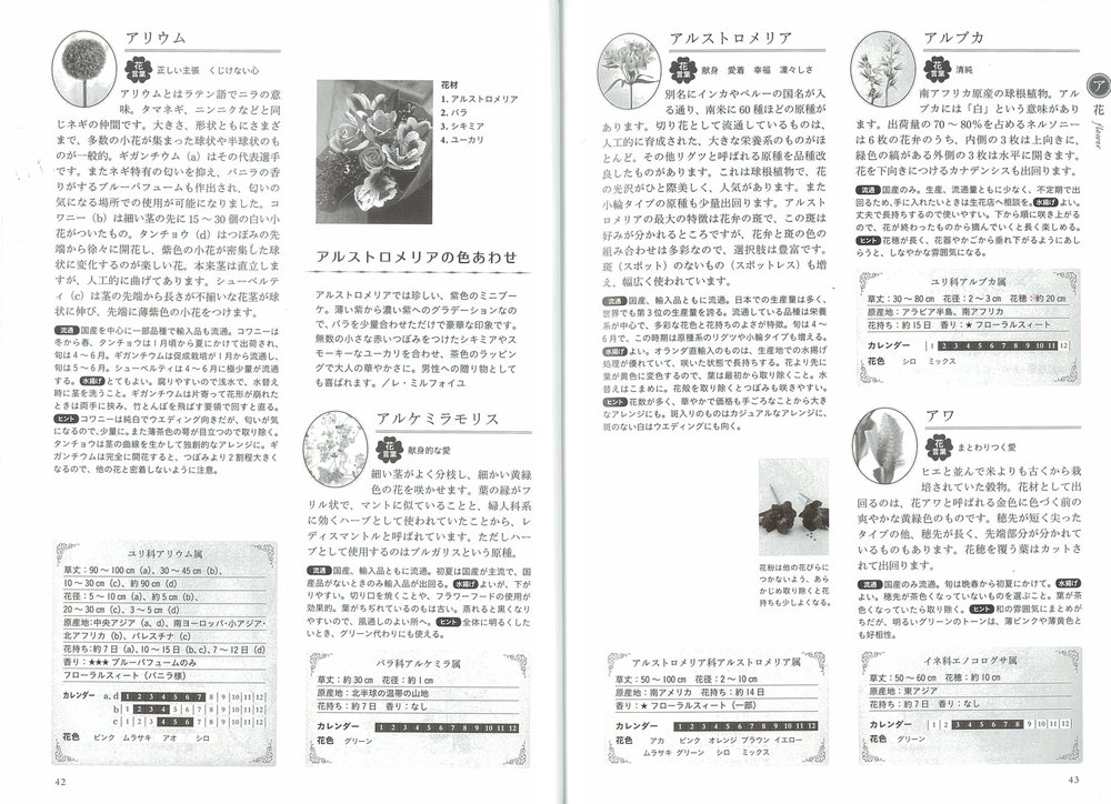 フローリスト花図鑑 いちばん探しやすい 宍戸 純 本 通販 Amazon