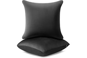 AM AEROMAX 18 ×18 Pillow Insert (Pack of 2) Memory Foam Throw Pillow Insert Sham Square for Decorative Cushion Bed Couch Sofa Without Deform After Longtime Use(Black)