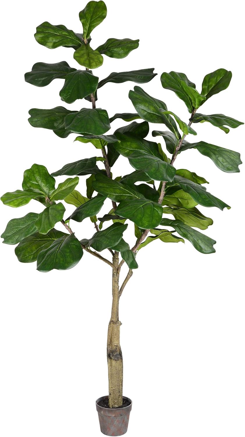 Vickerman Everyday Faux Fiddle Leaf Fig Tree 6ft Tall Green Silk Artificial Indoor Fiddle Plant With 65 Large Fiddle Leaves Single Stem Home Office Decor