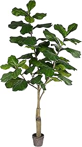 Vickerman Everyday Faux Fiddle Leaf Fig Tree 6ft Tall Green Silk Artificial Indoor Fiddle Plant With 65 Large Fiddle Leaves Single Stem Home Office Decor