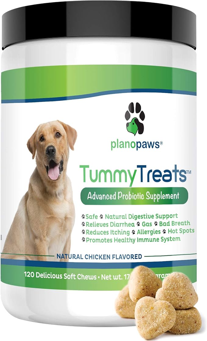 Amazon Com Tummy Treats Probiotics For Dogs Safe All Natural tummy treats probiotics for dogs safe all natural dog allergy medicine dog breath treats helps hot spots yeast infection constipation