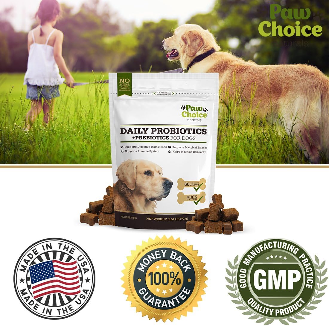 best pro and prebiotics for dogs
