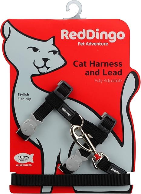 Red Dingo Laisse Harnais Pour Chat Noir Tour De Cou 21 A 35 Cm Poitrail 27 5 A 47 5 Cm Amazon Fr Animalerie